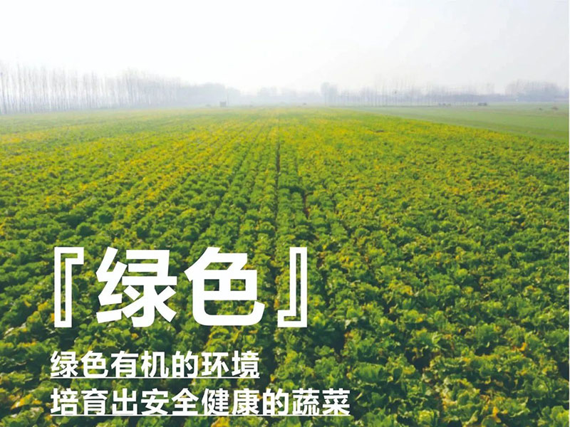 ������ũ��AG�������ж�