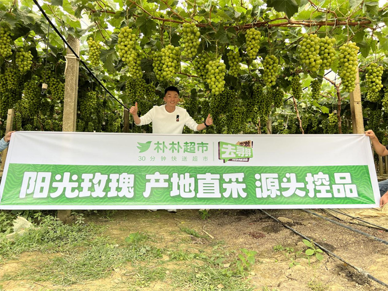 ÁãÊÛÖܱ¨£¨7.28-8.3£© ÁãÊÛÖܱ¨£¨7.28-8.3£©